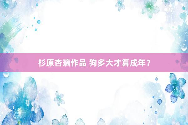 杉原杏璃作品 狗多大才算成年？