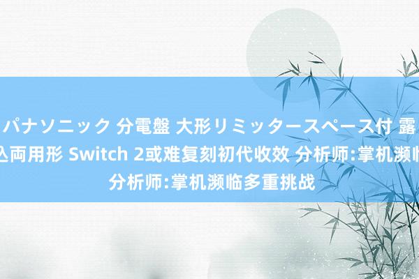パナソニック 分電盤 大形リミッタースペース付 露出・半埋込両用形 Switch 2或难复刻初代收效 分析师:掌机濒临多重挑战