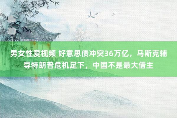 男女性爱视频 好意思债冲突36万亿，马斯克辅导特朗普危机足下，中国不是最大借主