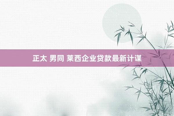 正太 男同 莱西企业贷款最新计谋