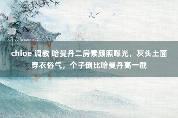 chloe 调教 哈曼丹二房素颜照曝光，灰头土面穿衣俗气，个子倒比哈曼丹高一截
