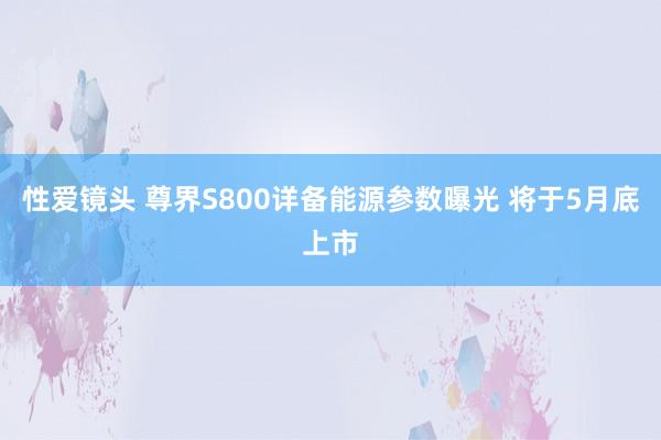 性爱镜头 尊界S800详备能源参数曝光 将于5月底上市