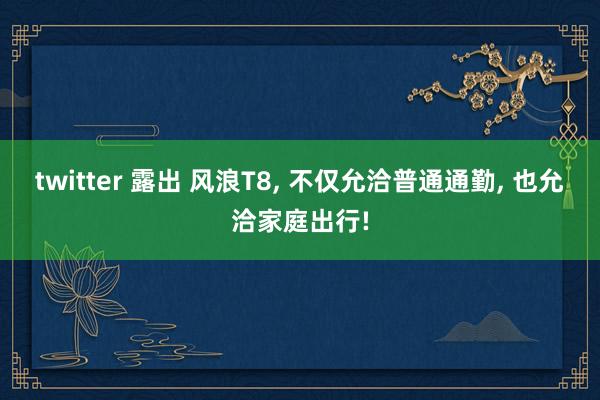 twitter 露出 风浪T8, 不仅允洽普通通勤, 也允洽家庭出行!
