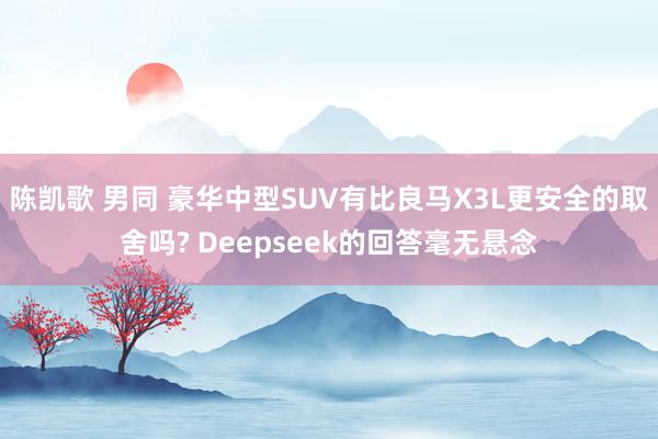 陈凯歌 男同 豪华中型SUV有比良马X3L更安全的取舍吗? Deepseek的回答毫无悬念