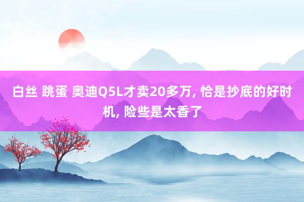 白丝 跳蛋 奥迪Q5L才卖20多万, 恰是抄底的好时机, 险些是太香了