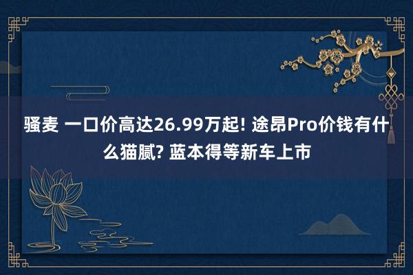 骚麦 一口价高达26.99万起! 途昂Pro价钱有什么猫腻? 蓝本得等新车上市
