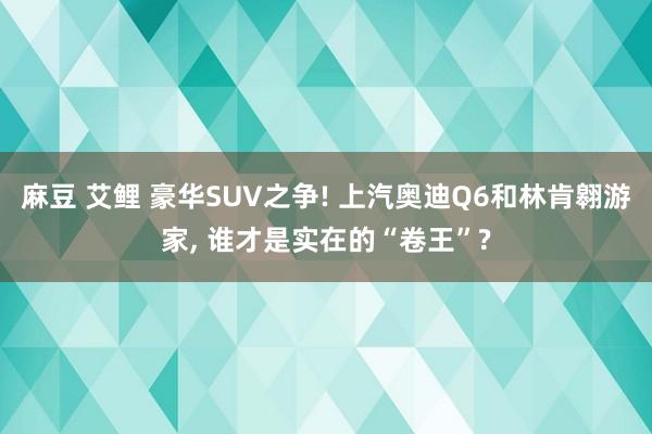 麻豆 艾鲤 豪华SUV之争! 上汽奥迪Q6和林肯翱游家, 谁才是实在的“卷王”?