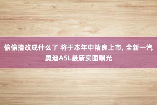 偷偷撸改成什么了 将于本年中精良上市, 全新一汽奥迪A5L最新实图曝光