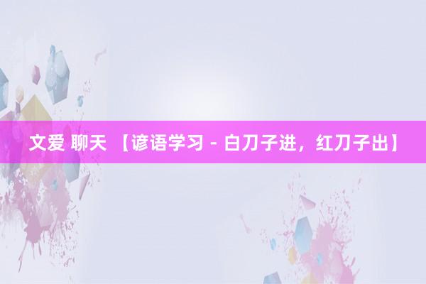 文爱 聊天 【谚语学习 - 白刀子进，红刀子出】