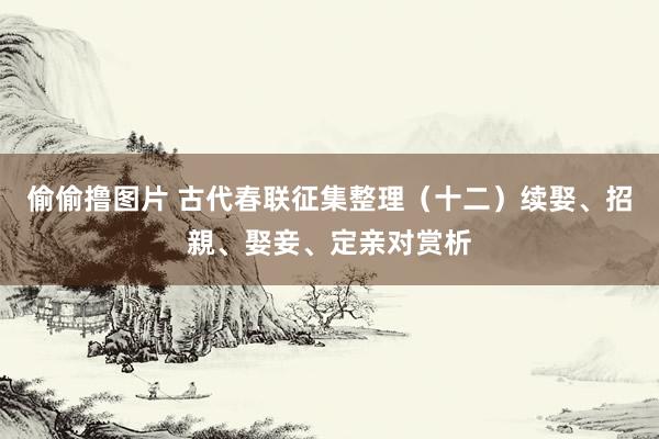 偷偷撸图片 古代春联征集整理（十二）续娶、招親、娶妾、定亲对赏析