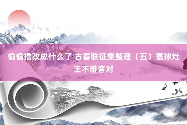 偷偷撸改成什么了 古春联征集整理（五）寰球灶王不雅音对