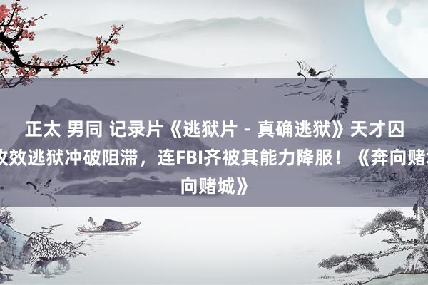 正太 男同 记录片《逃狱片 - 真确逃狱》天才囚犯收效逃狱冲破阻滞，连FBI齐被其能力降服！《奔向赌城》