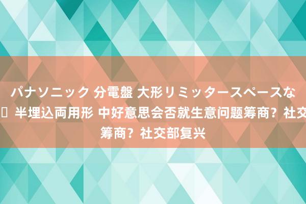 パナソニック 分電盤 大形リミッタースペースなし 露出・半埋込両用形 中好意思会否就生意问题筹商？社交部复兴