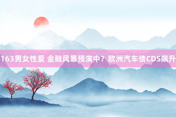 163男女性爱 金融风暴预演中？欧洲汽车债CDS飙升