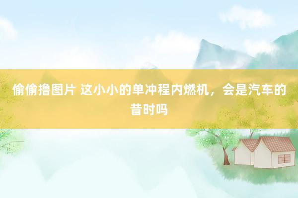 偷偷撸图片 这小小的单冲程内燃机，会是汽车的昔时吗