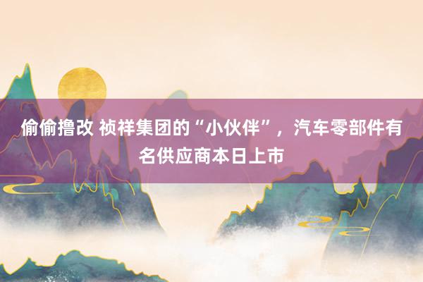 偷偷撸改 祯祥集团的“小伙伴”，汽车零部件有名供应商本日上市